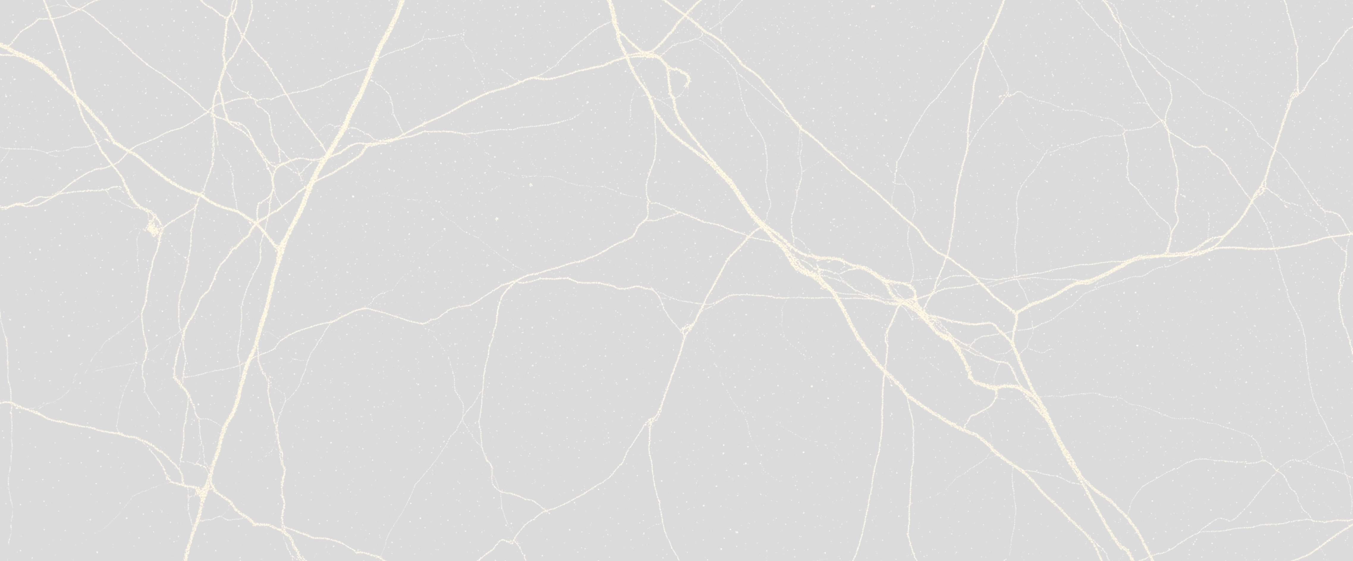 golden_veins